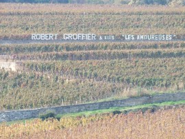 Groffiers Amoureuses vineyards